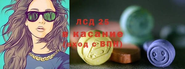 индика Окуловка