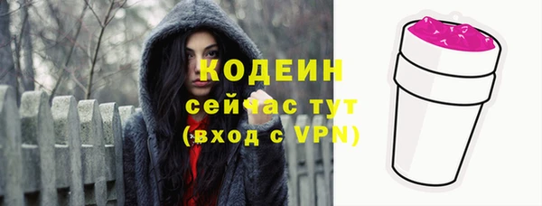 индика Рославль
