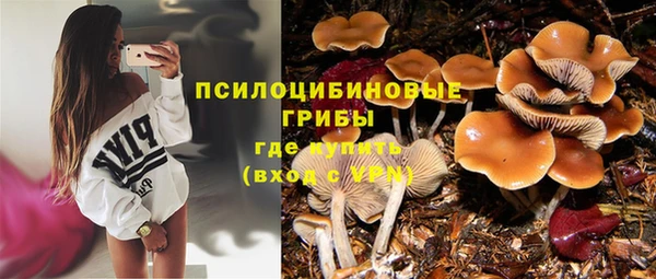 индика Рославль