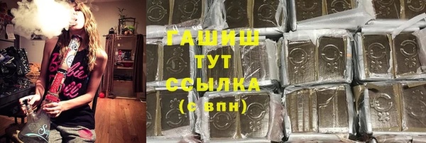 индика Рославль
