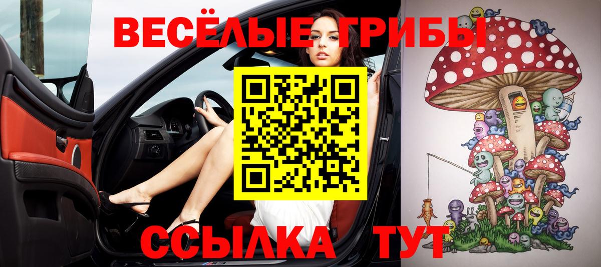наркота  Вход с VPN  Сосновый Бор  Псилоцибиновые грибы мицелий 