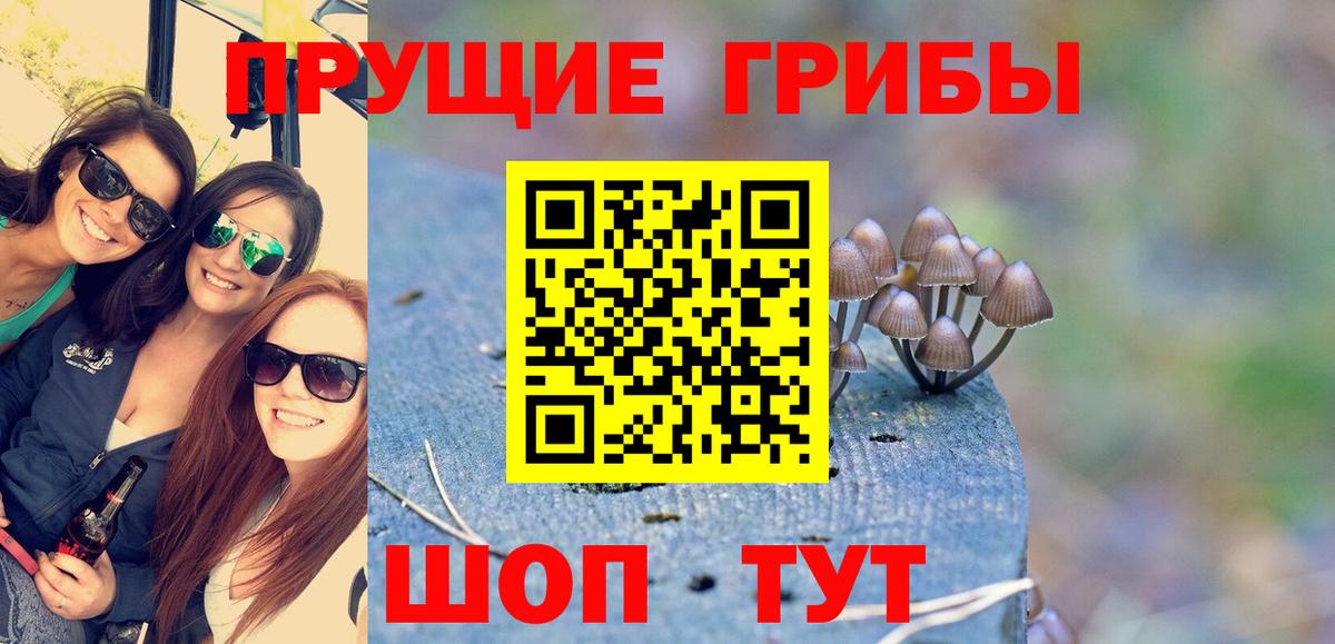 Псилоцибиновые грибы GOLDEN TEACHER Сосновый Бор